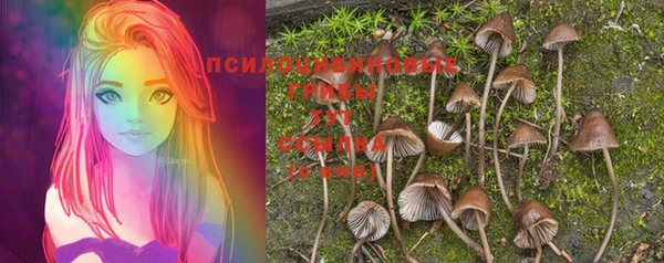 ешки Кинешма