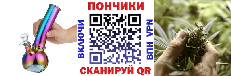 Бошки Шишки Amnesia  Чудово 